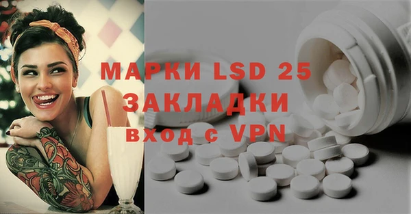 прущие грибы Костерёво