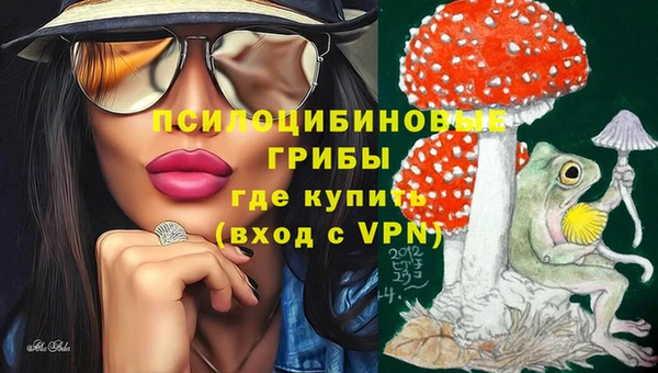 дмт Краснотурьинск