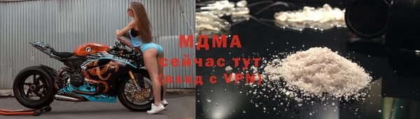 прущие грибы Костерёво