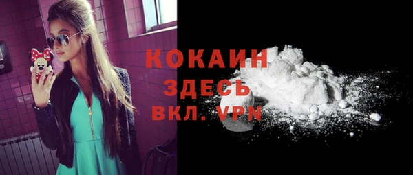 прущие грибы Костерёво