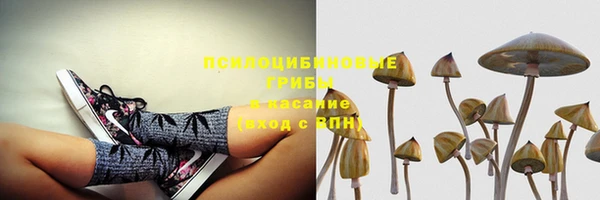 винт Корсаков