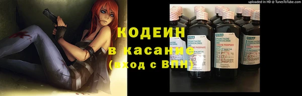 прущие грибы Костерёво