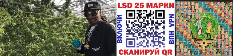 Марки 25I-NBOMe 1,5мг  Купить закладки  Лахденпохья 